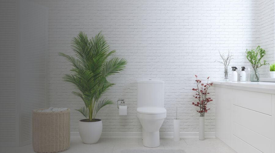 Why choose Memphis Porta Potty Rental for construction porta potty rental in Memphis, TN